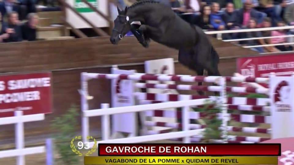 GAVROCHE DE ROHAN